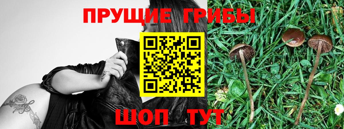 Галлюциногенные грибы прущие грибы  Вход с VPN  Ялта 