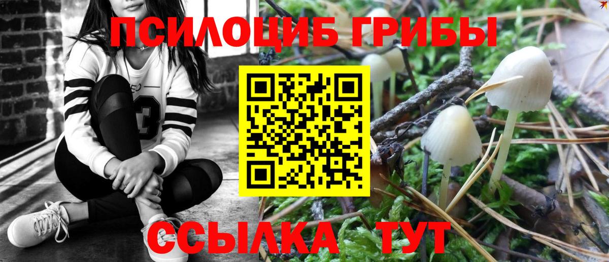 Псилоцибиновые грибы мицелий Ялта